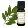 Huile essentielle Laurier noble BIO