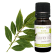 Huile essentielle de Laurus nobilis (Laurier noble)