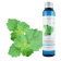 Idrolato di Patchouli selvatico