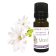 Fragrance naturelle Monoï