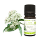 Huile Essentielle Myrte commun