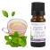 Fragrance naturelle Thé vert à la menthe