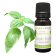 Huile essentielle de Basilic tropical BIO