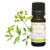 Huile essentielle Céleri BIO