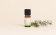 Huile Essentielle Melaleuca alternifolia (Tea tree)