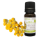 Huile Essentielle Helichrysum italicum (Immortelle)