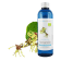 Hydrolat d’Hamamelis 