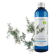 Hydrolat de Genévrier BIO 