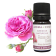 Absolue de Rose de Damas