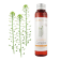 Olio di Camelina BIO