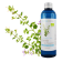  Hydrolat de Sarriette de Provence BIO