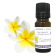 Fragrance naturelle Summer