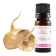 Maca vital