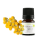 Huile essentielle Hélichryse italienne (Immortelle) de Corse BIO