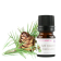 Actif Concentré Eclat & Lumière