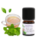 Green Tea Mint Natural Fragrance