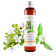 Olio Brahmi e Bhringaraj BIO (macerato oleoso)