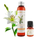 Huile de Lys BIO (macérât huileux)