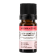 Actif cosmétique Tonique Immortelle 