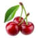 Cerises