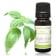 Huile essentielle Basilic tropical BIO