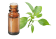 Olio essenziale di Ravinstara (Cinnamomum camphora)