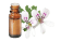 Huile essentielle de Géranium Bourbon Pelargonium asperum