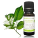 Olio essenziale Balsamo di Copaiba