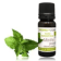 Huile essentielle de Menthe poivrée BIO (Mentha x piperita)