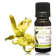 Huile Essentielle Cananga odorata totum (Ylang-Ylang complète)