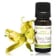 Huile essentielle Ylang-ylang III BIO