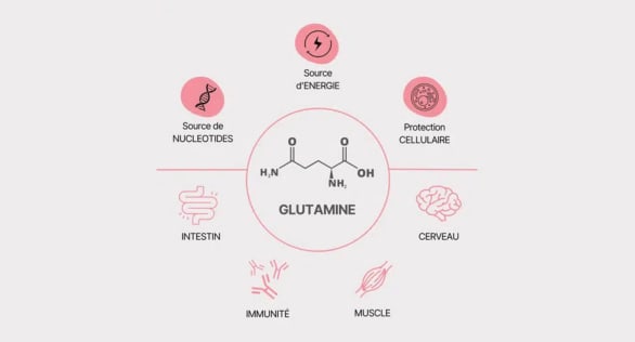 Glutamine