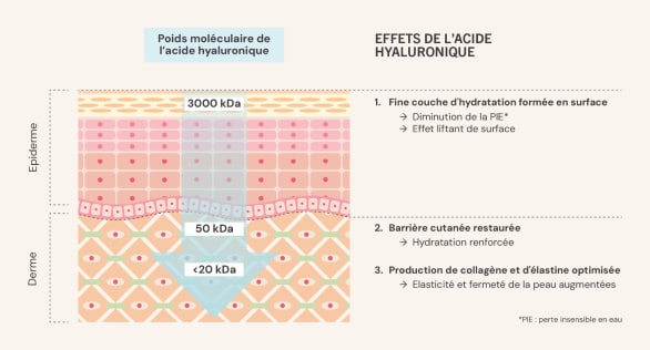 Effets acide hyaluronique