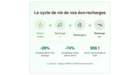 cycle de vie