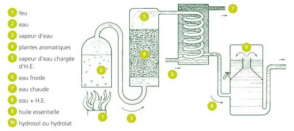 dt_extrait-plante_distillation