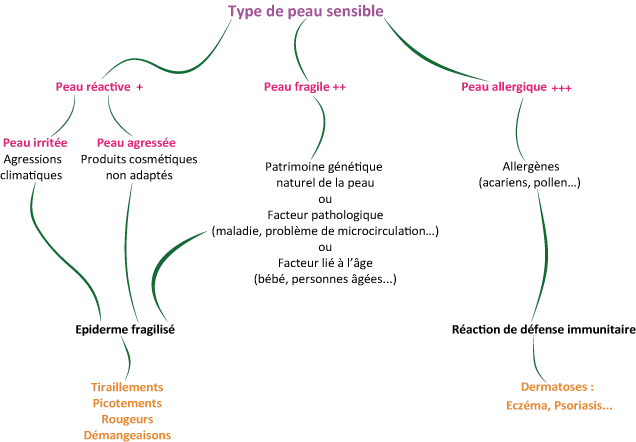 dt_soins-visage_shema_peau_sensible.webp