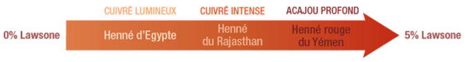 fleches-hennes-cuivres-01