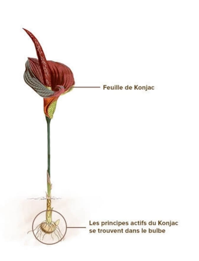 image(1).png