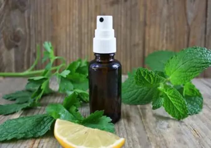 N401703_spray-haleine_fraicheur_menthe-citron_