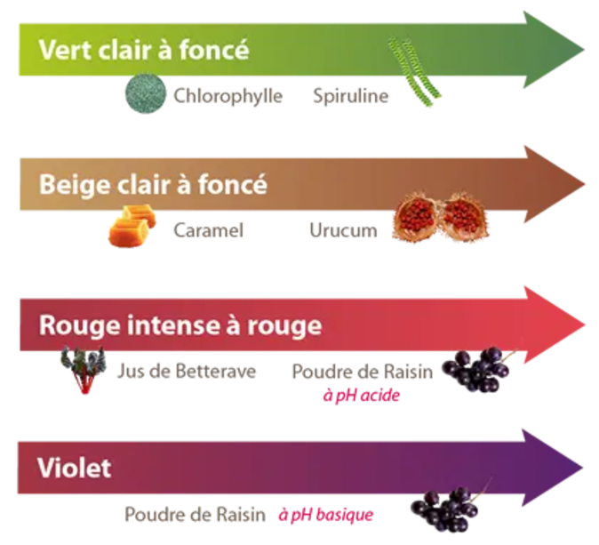 schemas-colorants-01.webp