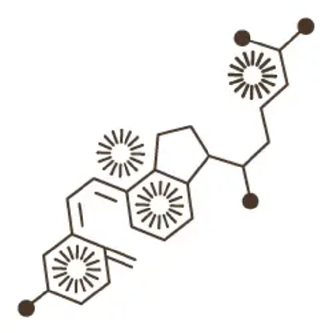 Molecule_Vit-D.webp