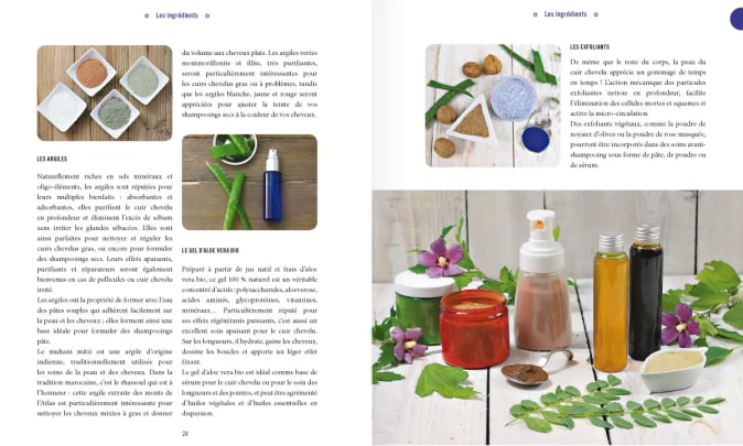 Livre_Cheveux-naturel-100-recettes_1