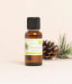 Huile essentielle Pin sylvestre BIO
