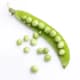 little_peas