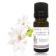 Fragrance cosmétique naturelle Monoï