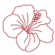 hibiscus.webp