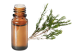 FT-Plante HE-Tea-tree-removebg-preview