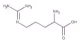 Argenine.webp