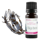 Actif cosmétique Oligo'bronz