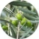 SavonLaitAnesse09_CompositionHuileOlive